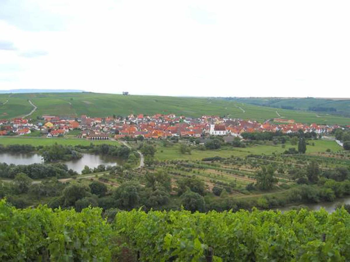Ferien- Und Winzerhof Ute Braun Apartment Nordheim am Main Exterior foto